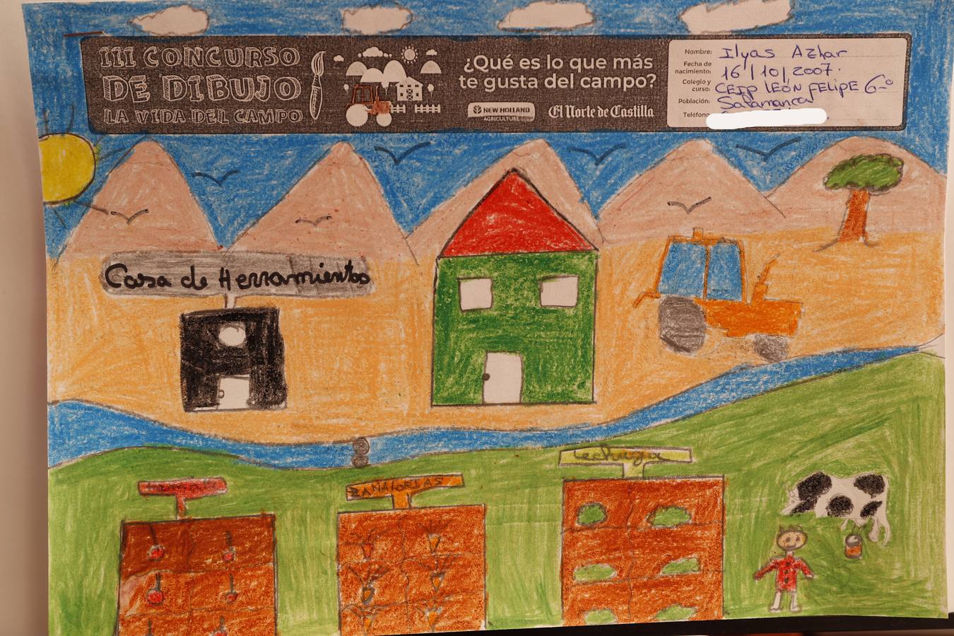 Fotos: Trabajos de 6º de Primaria en la modalidad de dibujo del III Concurso de Dibujo y Cómic &#039;La vida del campo&#039;