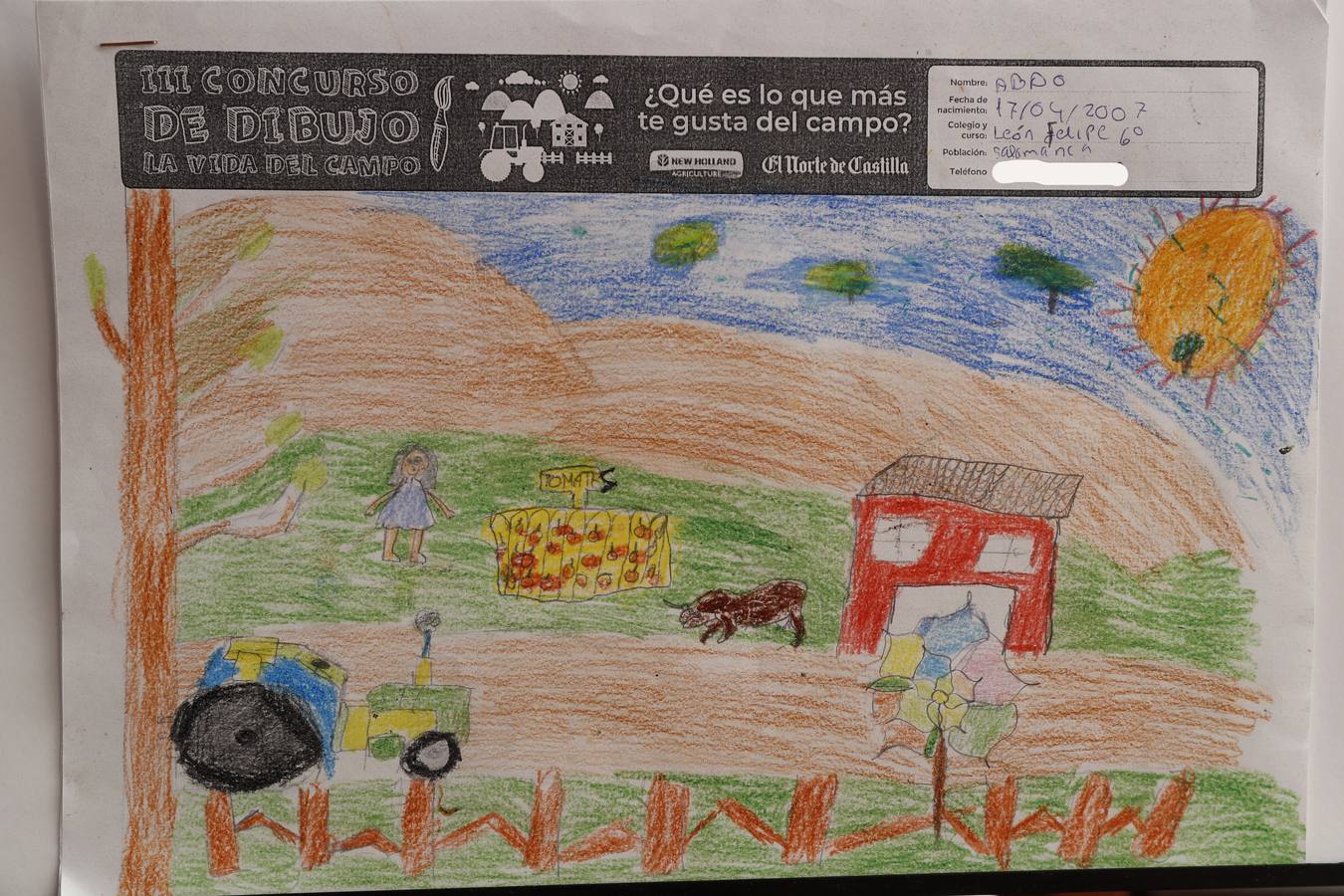 Fotos: Trabajos de 6º de Primaria en la modalidad de dibujo del III Concurso de Dibujo y Cómic &#039;La vida del campo&#039;