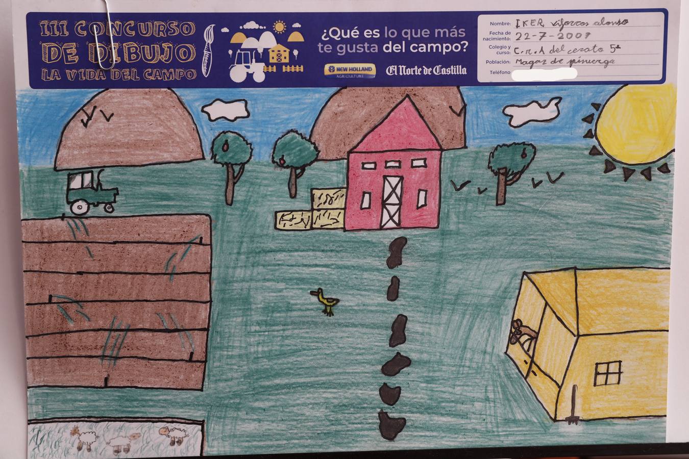 Fotos: Trabajos de 6º de Primaria en la modalidad de dibujo del III Concurso de Dibujo y Cómic &#039;La vida del campo&#039;