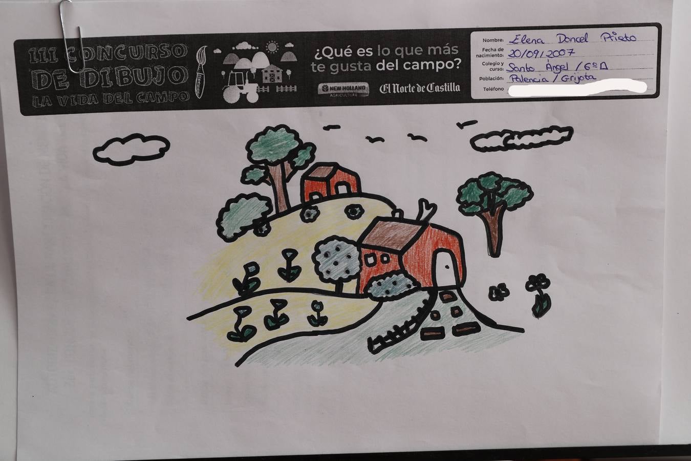 Fotos: Trabajos de 6º de Primaria en la modalidad de dibujo del III Concurso de Dibujo y Cómic &#039;La vida del campo&#039;