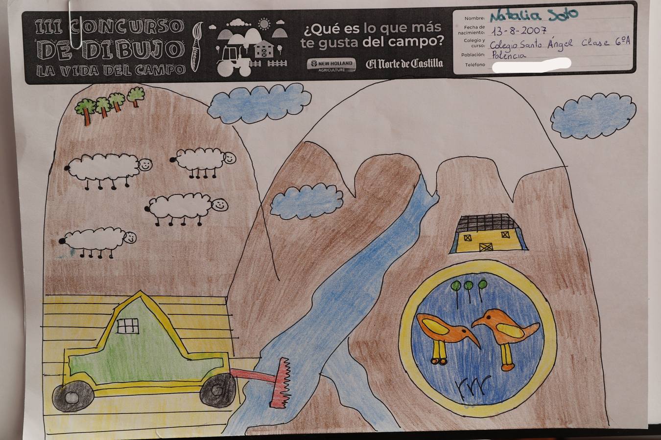 Fotos: Trabajos de 6º de Primaria en la modalidad de dibujo del III Concurso de Dibujo y Cómic &#039;La vida del campo&#039;