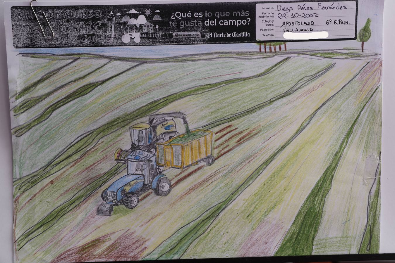 Fotos: Trabajos de 6º de Primaria en la modalidad de dibujo del III Concurso de Dibujo y Cómic &#039;La vida del campo&#039;