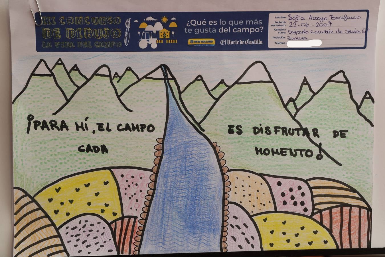 Fotos: Trabajos de 6º de Primaria en la modalidad de dibujo del III Concurso de Dibujo y Cómic &#039;La vida del campo&#039;