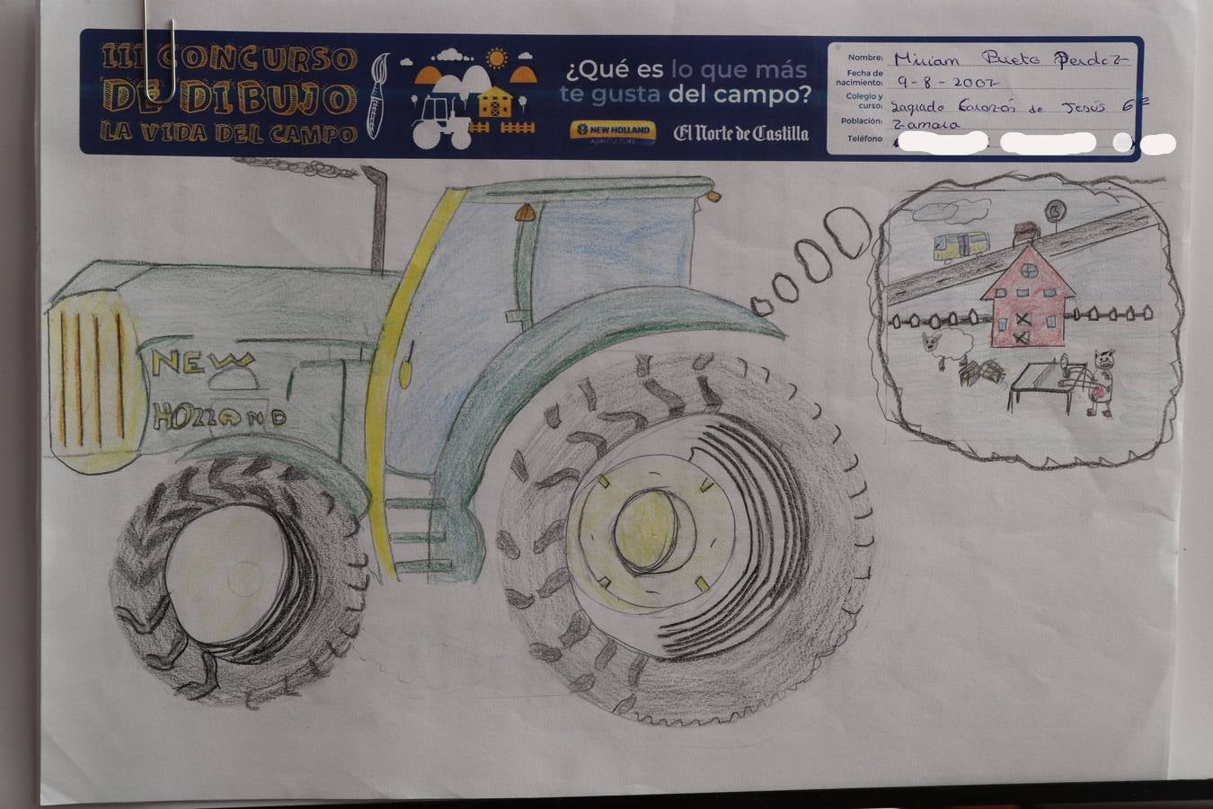 Fotos: Trabajos de 6º de Primaria en la modalidad de dibujo del III Concurso de Dibujo y Cómic &#039;La vida del campo&#039;