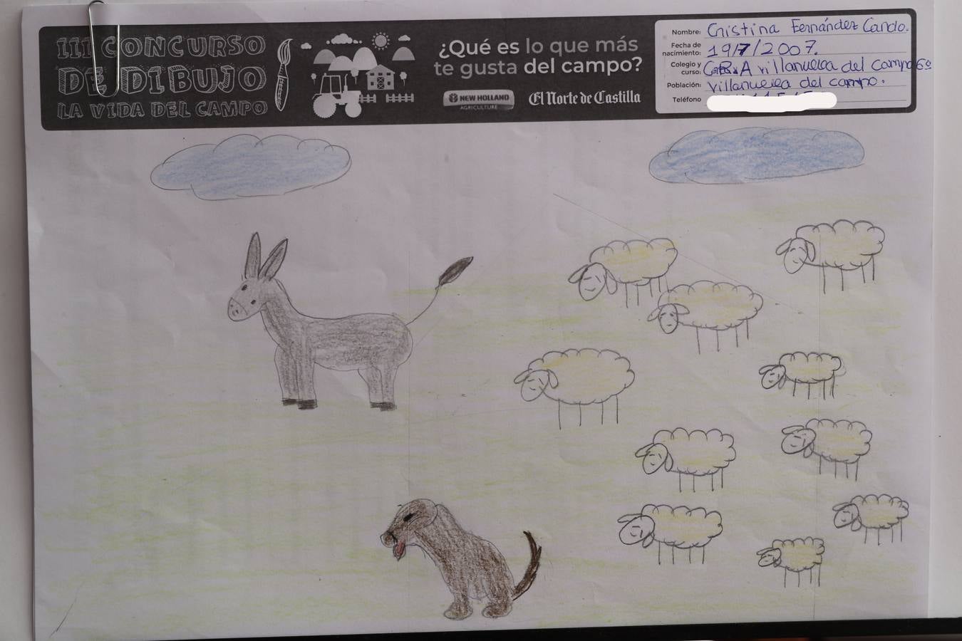 Fotos: Trabajos de 6º de Primaria en la modalidad de dibujo del III Concurso de Dibujo y Cómic &#039;La vida del campo&#039;