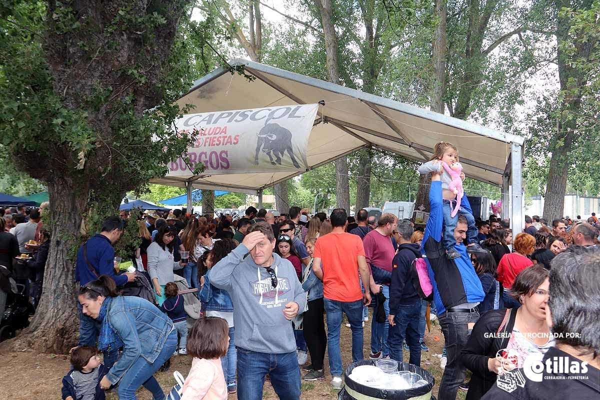 La mañana amanecía nublada y húmeda pero el día ha levantado y el Parque del Parral se ha llenado de burgaleses y amigos para celebrar la Festividad del Curpillos entre las carpas de las peñas