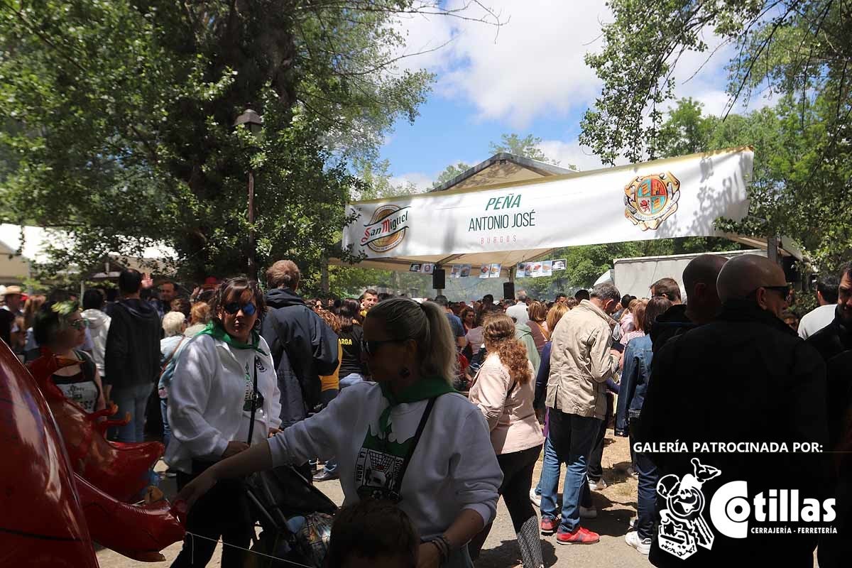 La mañana amanecía nublada y húmeda pero el día ha levantado y el Parque del Parral se ha llenado de burgaleses y amigos para celebrar la Festividad del Curpillos entre las carpas de las peñas