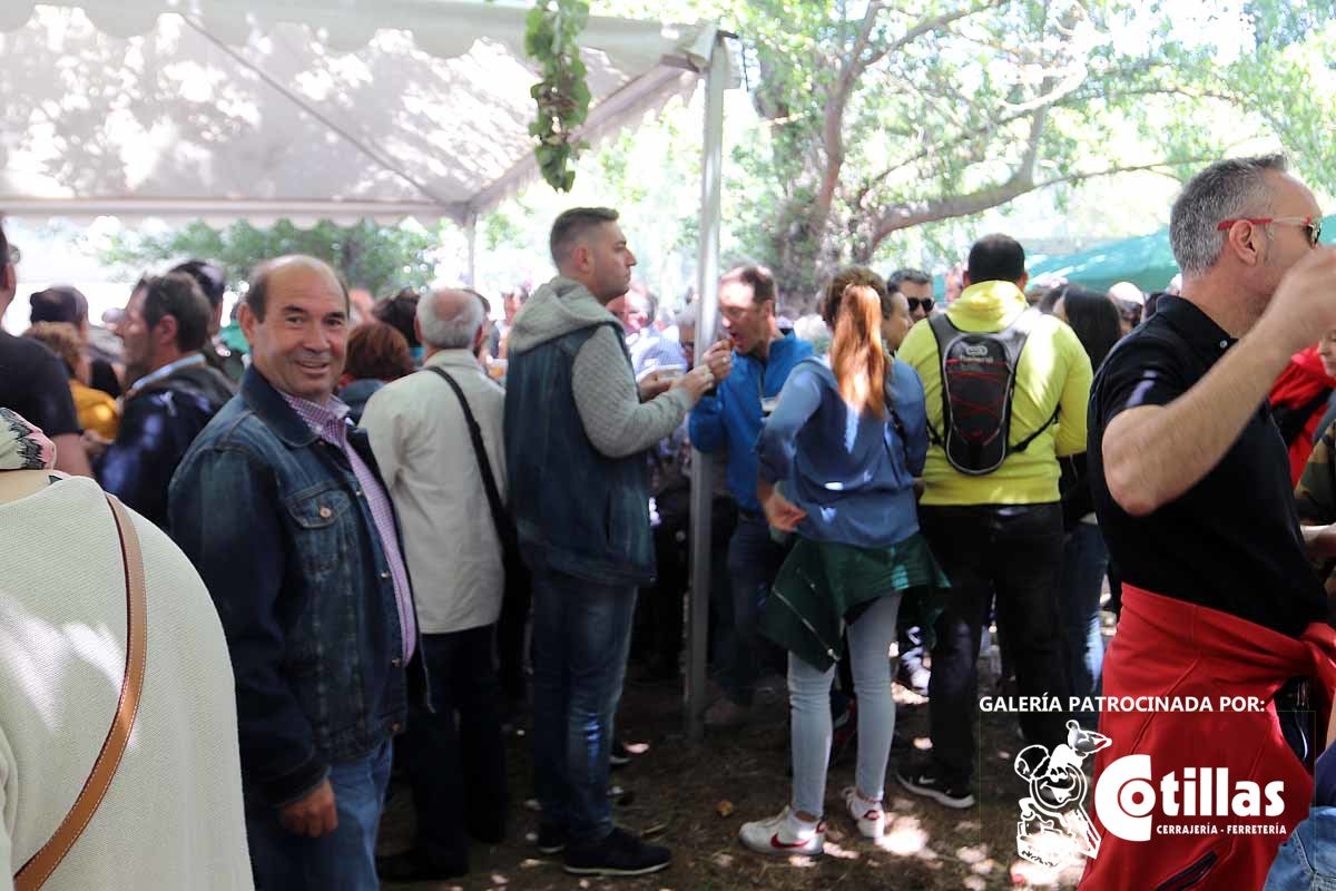 La mañana amanecía nublada y húmeda pero el día ha levantado y el Parque del Parral se ha llenado de burgaleses y amigos para celebrar la Festividad del Curpillos entre las carpas de las peñas