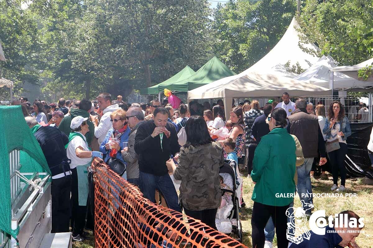 La mañana amanecía nublada y húmeda pero el día ha levantado y el Parque del Parral se ha llenado de burgaleses y amigos para celebrar la Festividad del Curpillos entre las carpas de las peñas