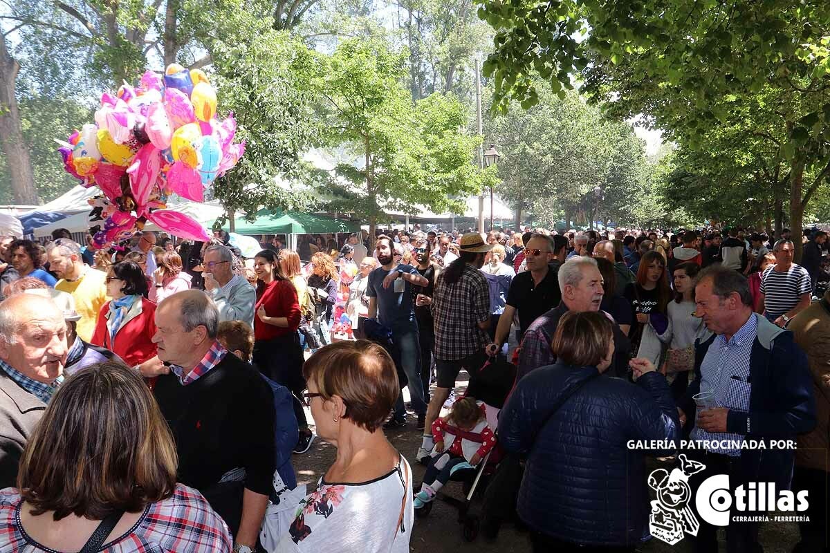 La mañana amanecía nublada y húmeda pero el día ha levantado y el Parque del Parral se ha llenado de burgaleses y amigos para celebrar la Festividad del Curpillos entre las carpas de las peñas