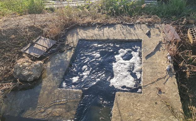 Imagen principal - En la foto de arriba, topillos muertos al lado del Canal y debajo; parcelas afectadas en la provincia de Palencia.