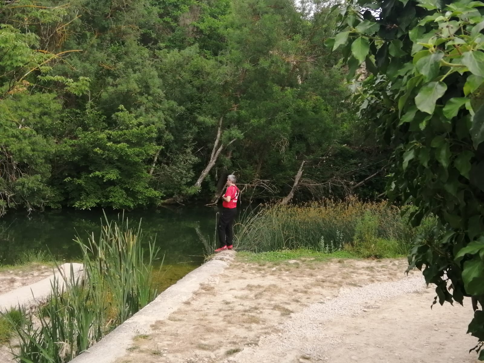 Un joven de 20 años, residente en Huesca, ha fallecido este sábado en la cascada de Pedrosa de Tobalina (Burgos), después de lanzarse al agua desde lo alto de la cascada