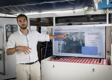 Imagen secundaria 1 - Expertos del CSIC explican el proceso de recuperación de la posidonia en la Bahía de Pollensa (Mallorca).