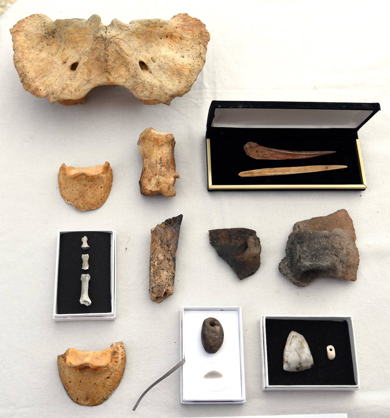 La campaña de excavaciones de los yacimientos burgaleses de la Sierra de Atapuerca ha concluido con nuevos hallazgos atribuidos a neandertales en el yacimiento de Cueva Fantasma, que confirman la confluencia de hasta cuatro especies humanas en el enclave, según se ha puesto de manifiesto durante el balance de los trabajos estivales.