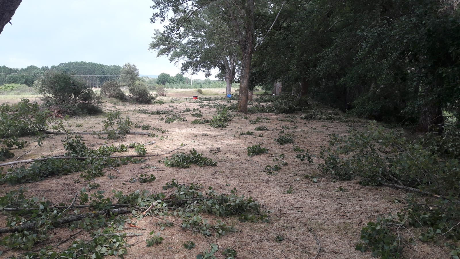 El grupo de Scouts de San Pedro y San Felices sufre las consecuencia de una gran tormenta que ha destrozado tiendas de campaña, carpas y enseres personales en Cascajares de la Sierra | Una niña sufrió un esguince en una muñeca