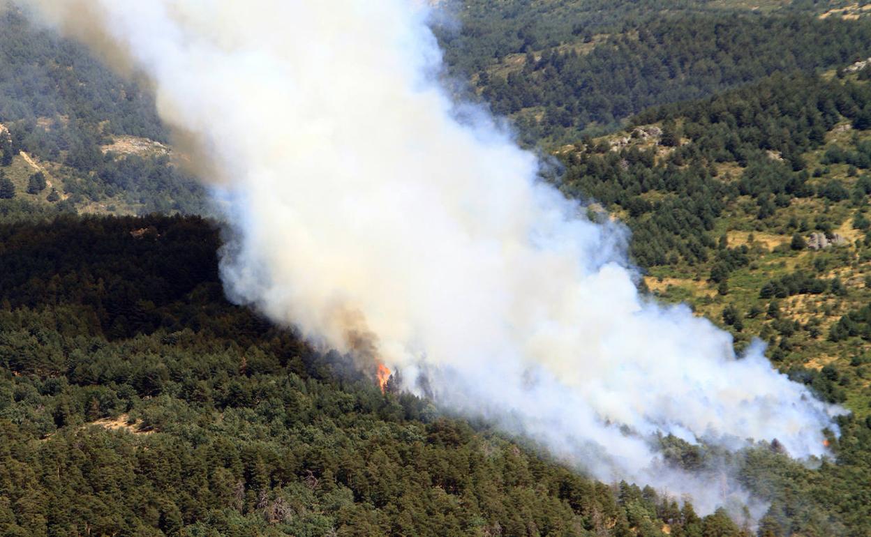 Fuego de la sirra de Guadarrama, en los aledaños del Real Sitio de San Ildefonso. 