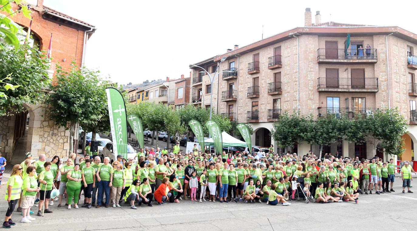 Vecinos de Huerta de Rey que han participado en la I Marcha contra el cáncer. 