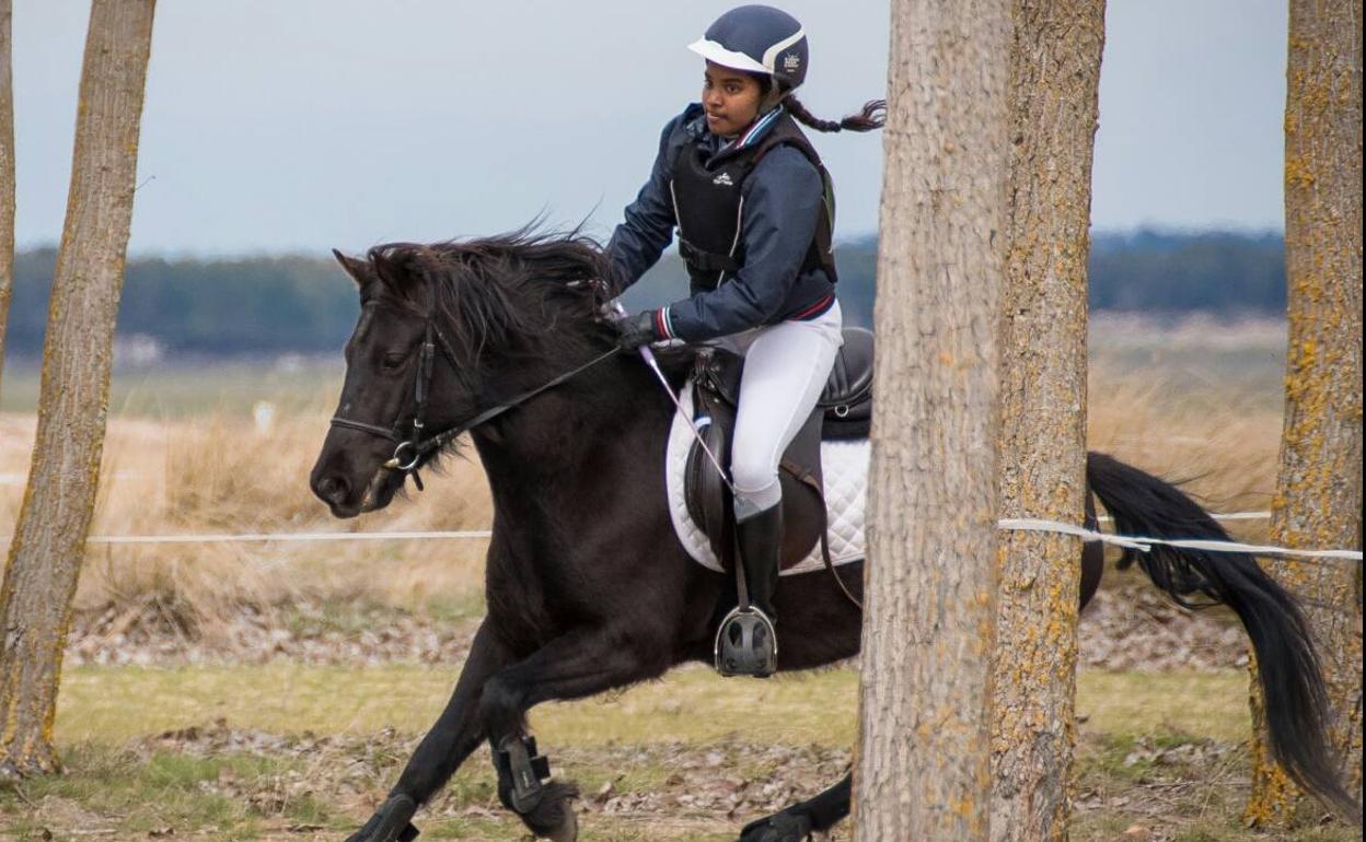 Ejemplar de caballo losino. 