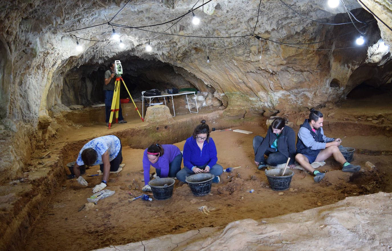 Quince investigadores de la Universidad de Burgos (UBU), el Centro Nacional de Investigación sobre Evolución Humana (CENIEH) y el Museo de la Evolución Humana (MEH) han participado en la cuarta campaña de excavación en la cueva Prado Vargas (Cornejo, Merindad de Sotoscueva) que comenzó el 1 de agosto y ha concluido hoy. Han trabajado en el nivel cuatro del yacimiento descubriendo 2.000 restos de hace más de 45.000 años.