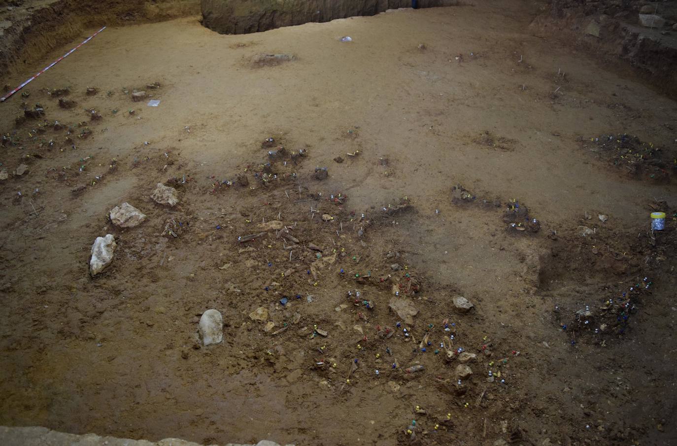 Quince investigadores de la Universidad de Burgos (UBU), el Centro Nacional de Investigación sobre Evolución Humana (CENIEH) y el Museo de la Evolución Humana (MEH) han participado en la cuarta campaña de excavación en la cueva Prado Vargas (Cornejo, Merindad de Sotoscueva) que comenzó el 1 de agosto y ha concluido hoy. Han trabajado en el nivel cuatro del yacimiento descubriendo 2.000 restos de hace más de 45.000 años.