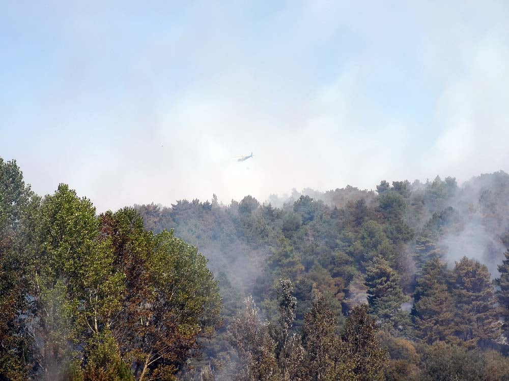 La empacadora que ha producido el incendio ha quedado calcinada