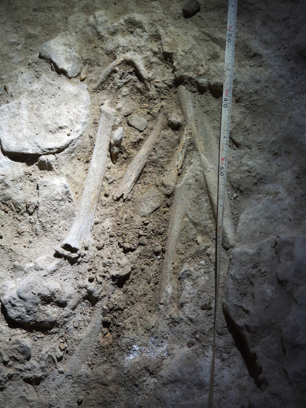 En la Cueva de La Quebrantada se han encontrado varios fósiles humanos, entre ellos varios cráneos. 