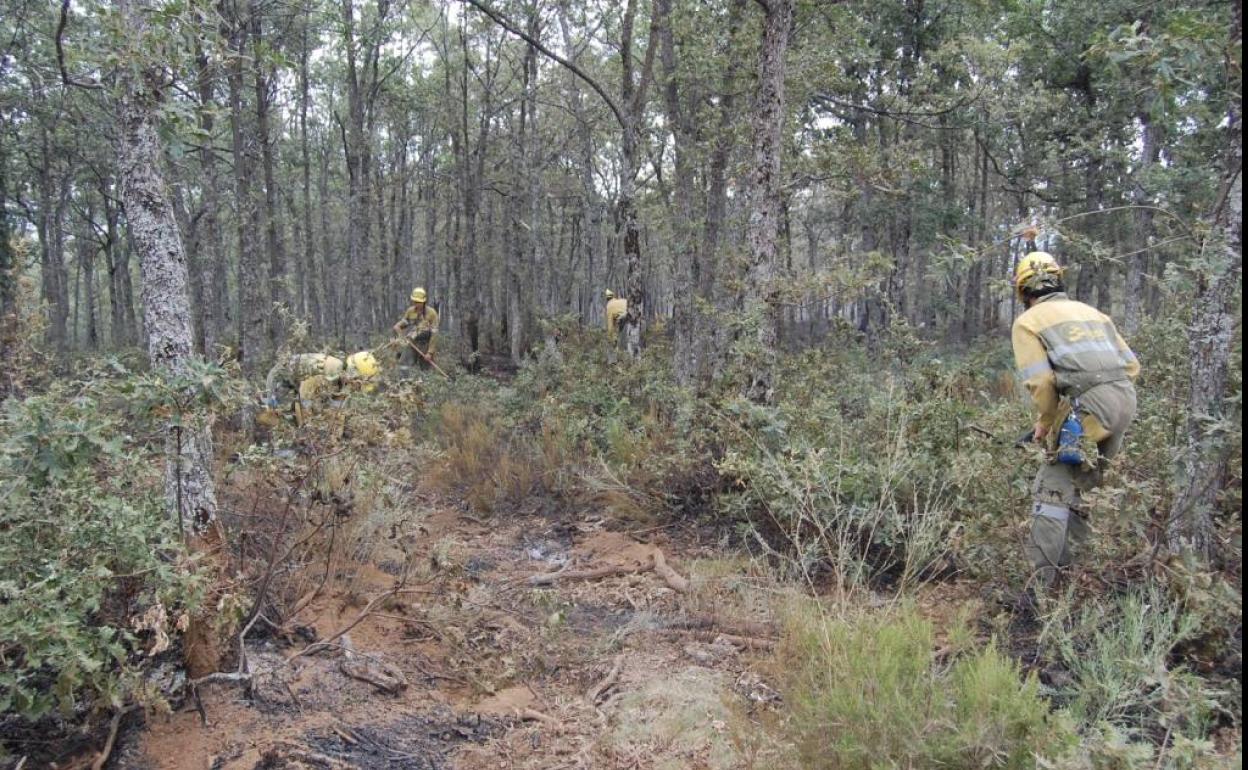 Cuadrilla forestal