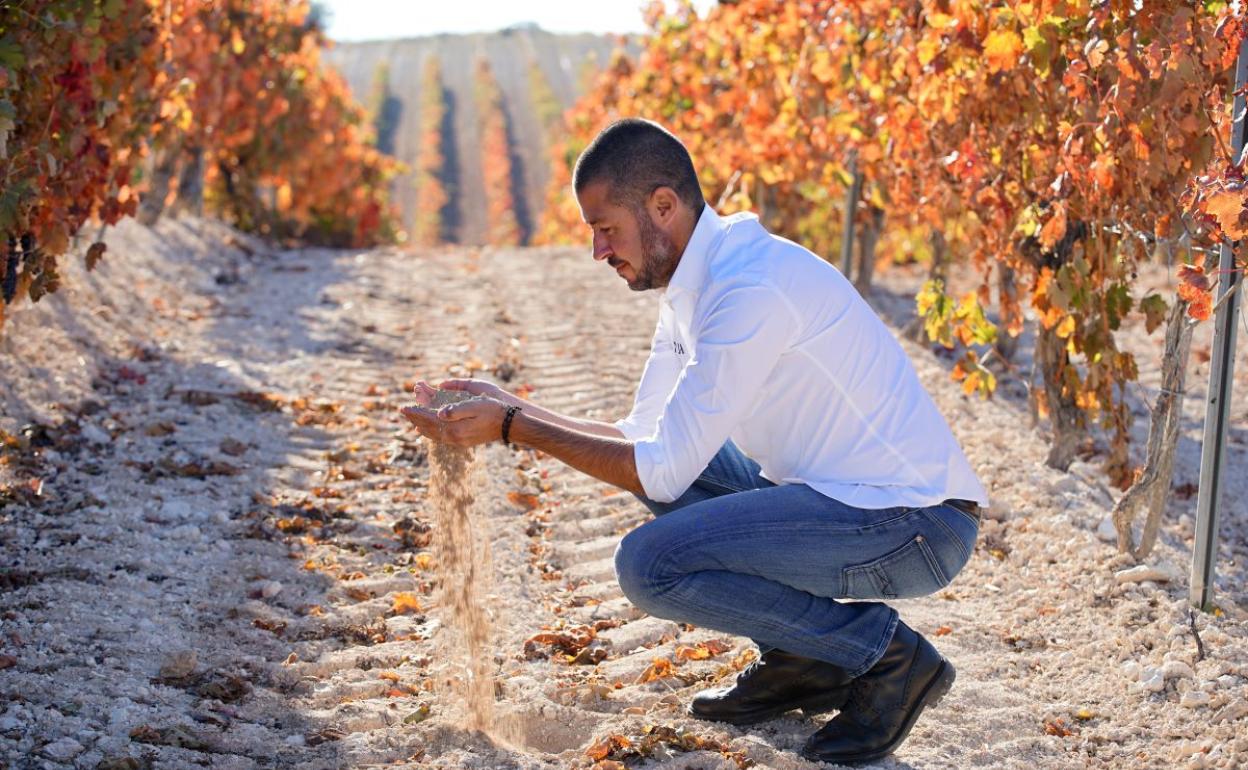 El mejicano Vicente Pliego, uno de los propietarios de la bodega Pinea junto a unas vides, algunas centenarias. 