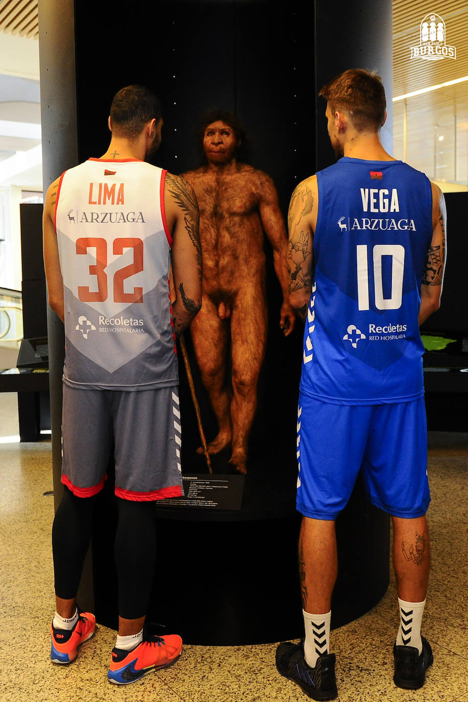 El San Pablo Burgos ha presentado esta mañana sus equipaciones oficiales hummel de Liga Endesa para la temporada 2019/20 en el Museo de la Evolución Humana (MEH) de la capital del Arlanzón. 