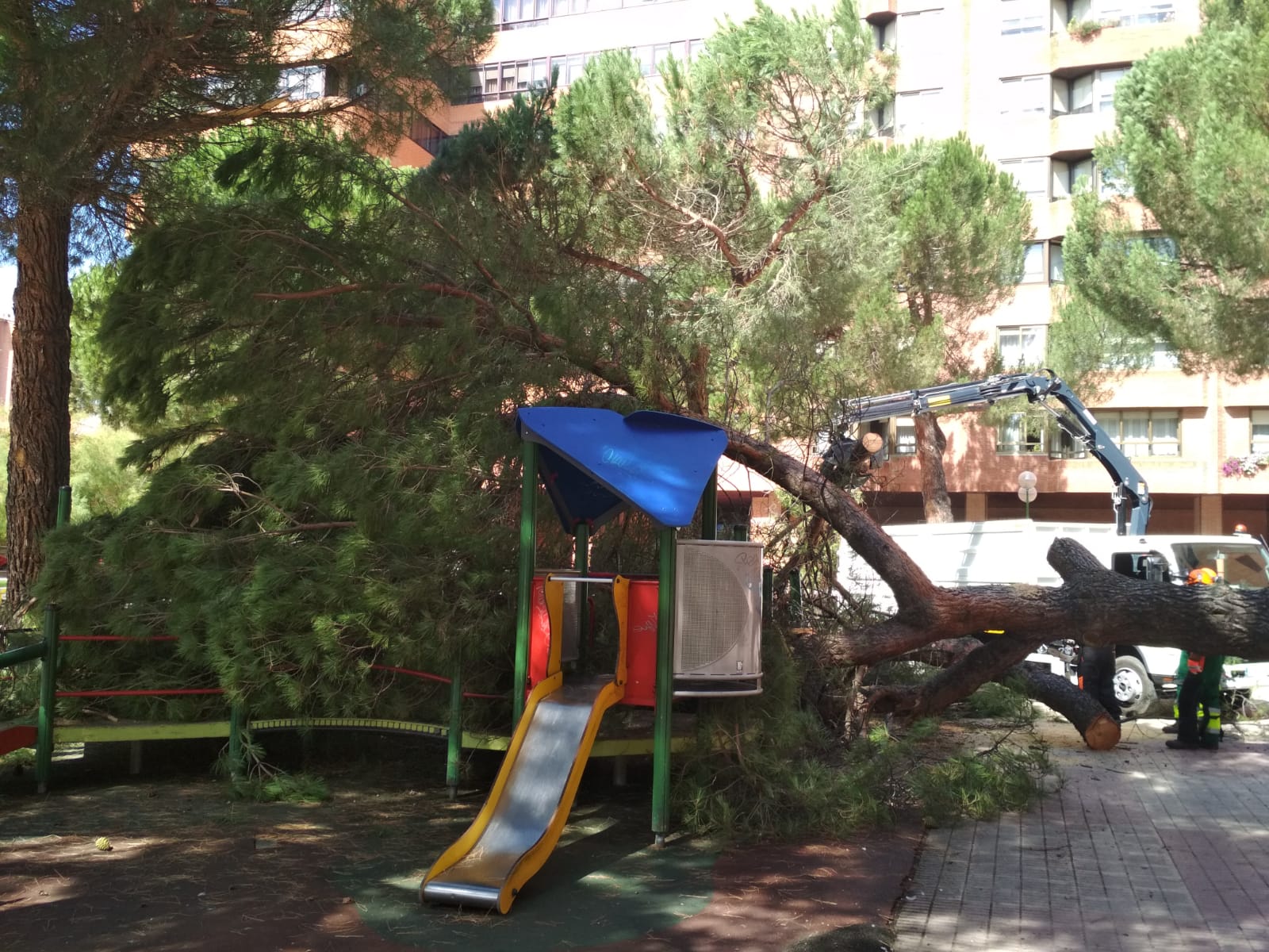 El pino ha caído sobre una zona de juegos infantiles