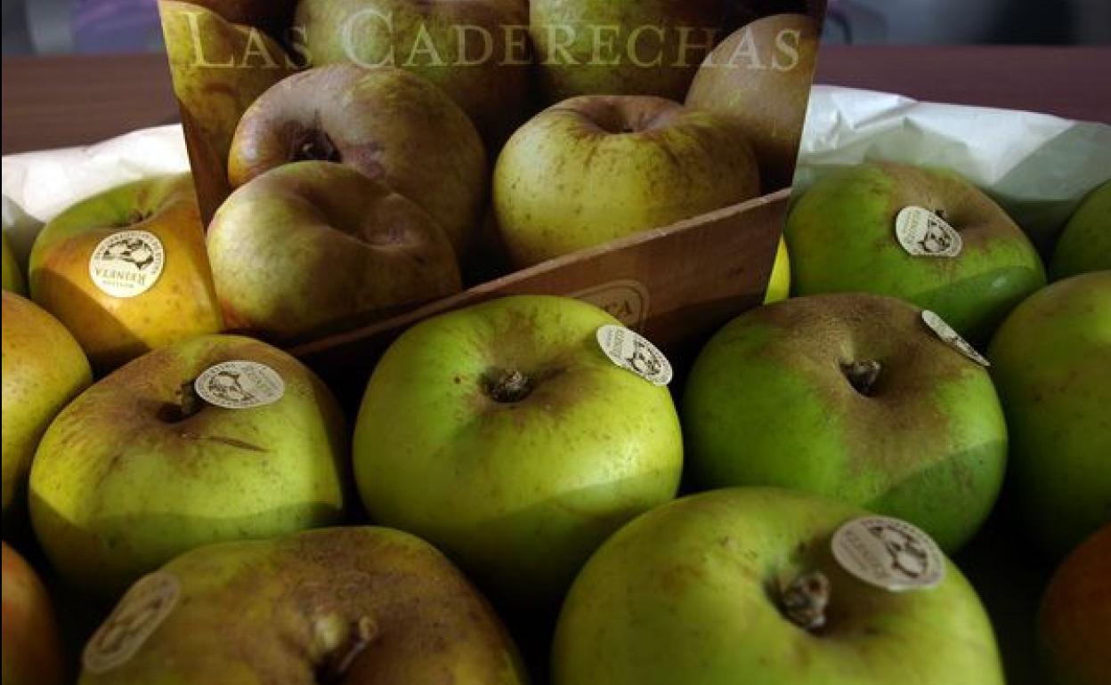 Este año habrá meenos manzanas de Caderechas. 