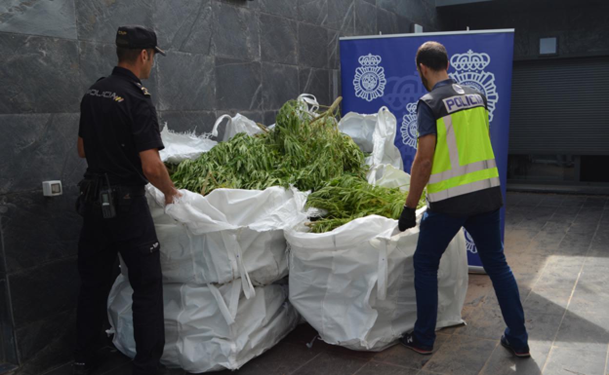 La marihuana incautada por la Policía Nacional. 