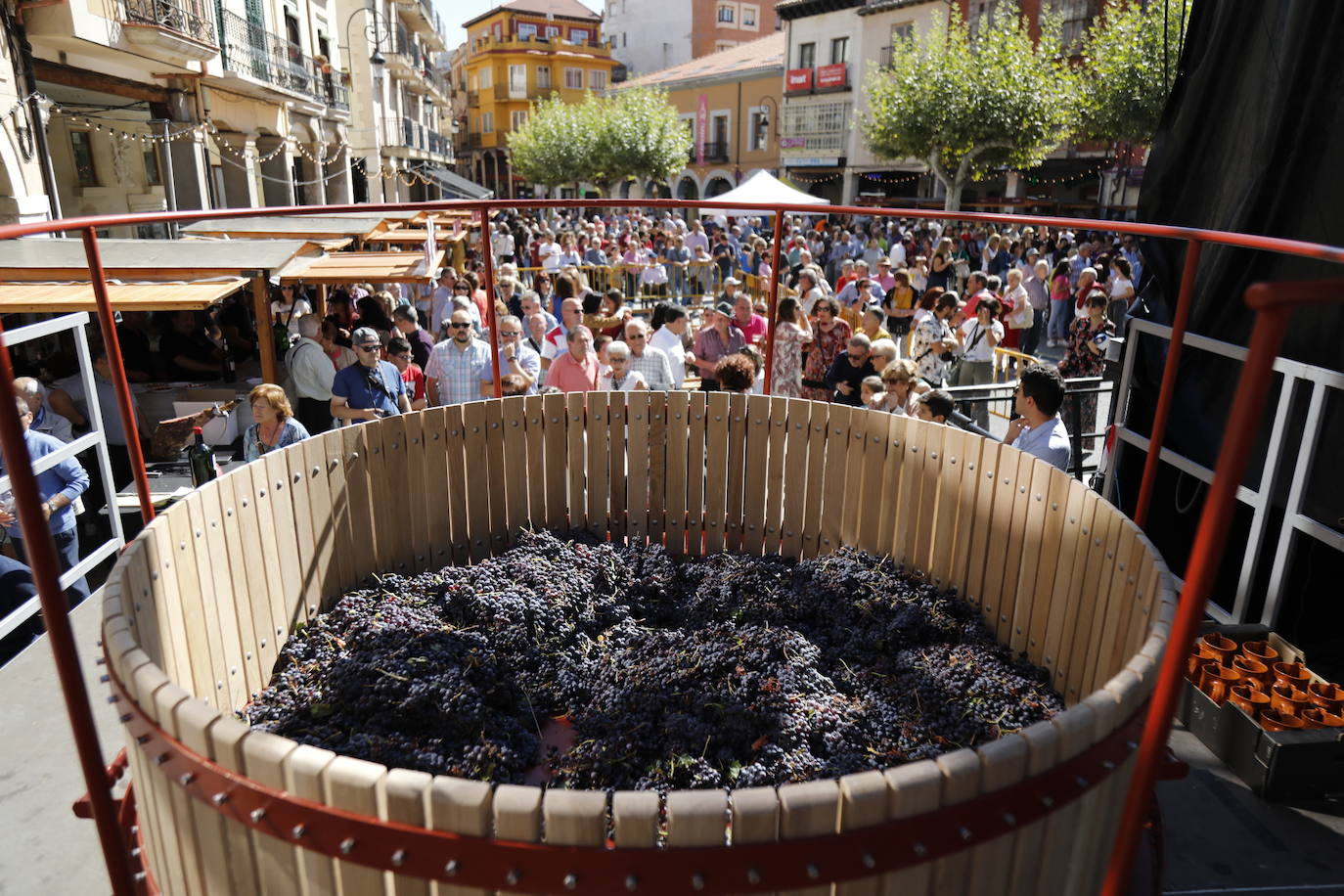 Aranda de Duero ha festejado hoy la Fiesta de la Vendimia. 