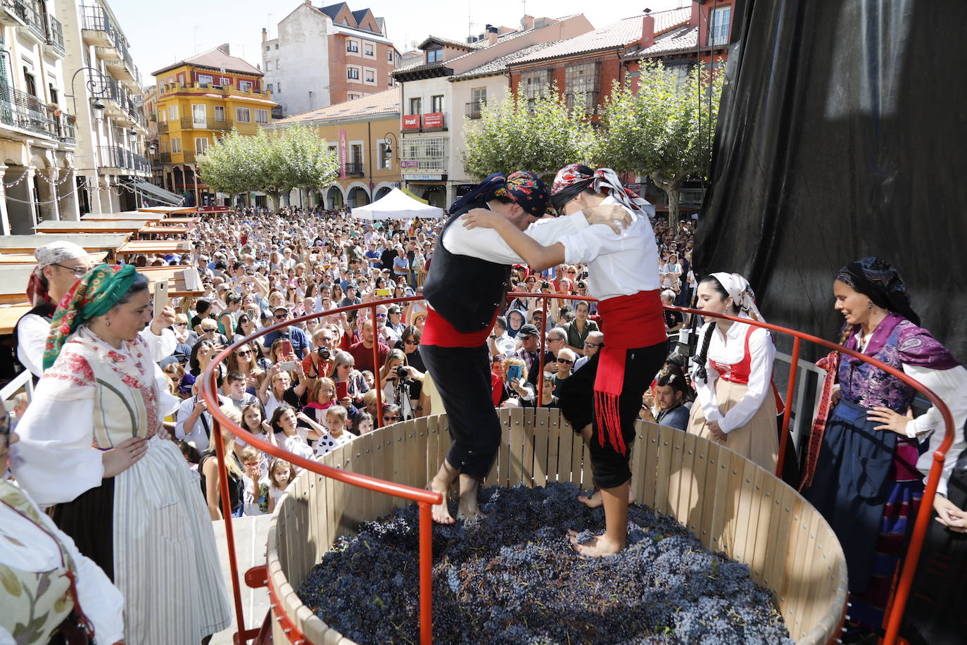 Aranda de Duero ha celebrado hoy la Fiesta de la Vendimia. 