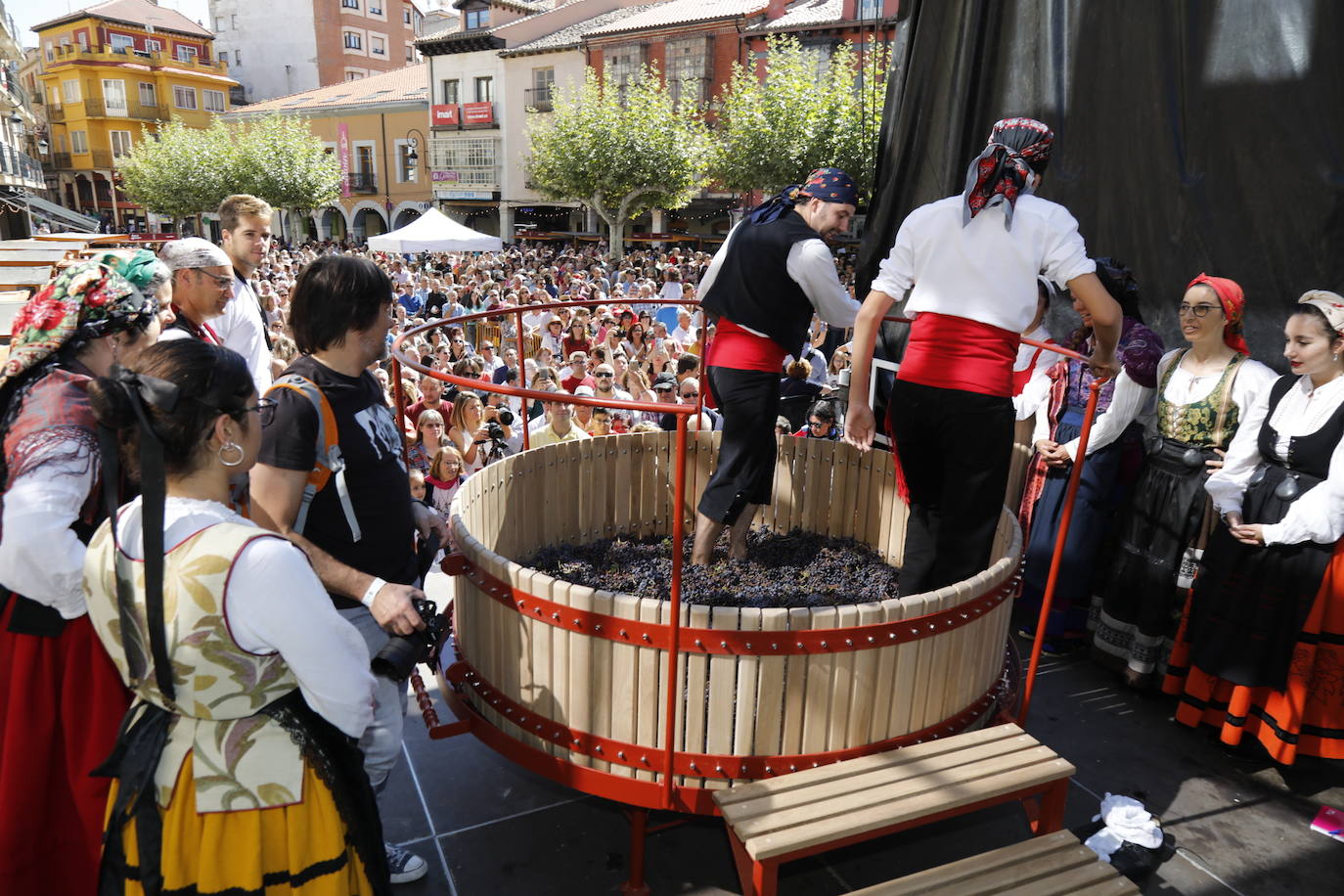 Aranda de Duero ha celebrado hoy la Fiesta de la Vendimia. 