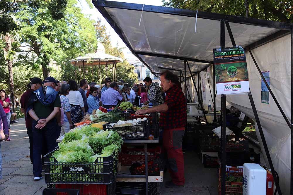 UCCL organiza la XVII Feria de la Biodiversidad en el Paseo Marceliano Santamaría con una veintena de expositores