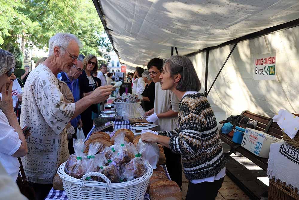 UCCL organiza la XVII Feria de la Biodiversidad en el Paseo Marceliano Santamaría con una veintena de expositores