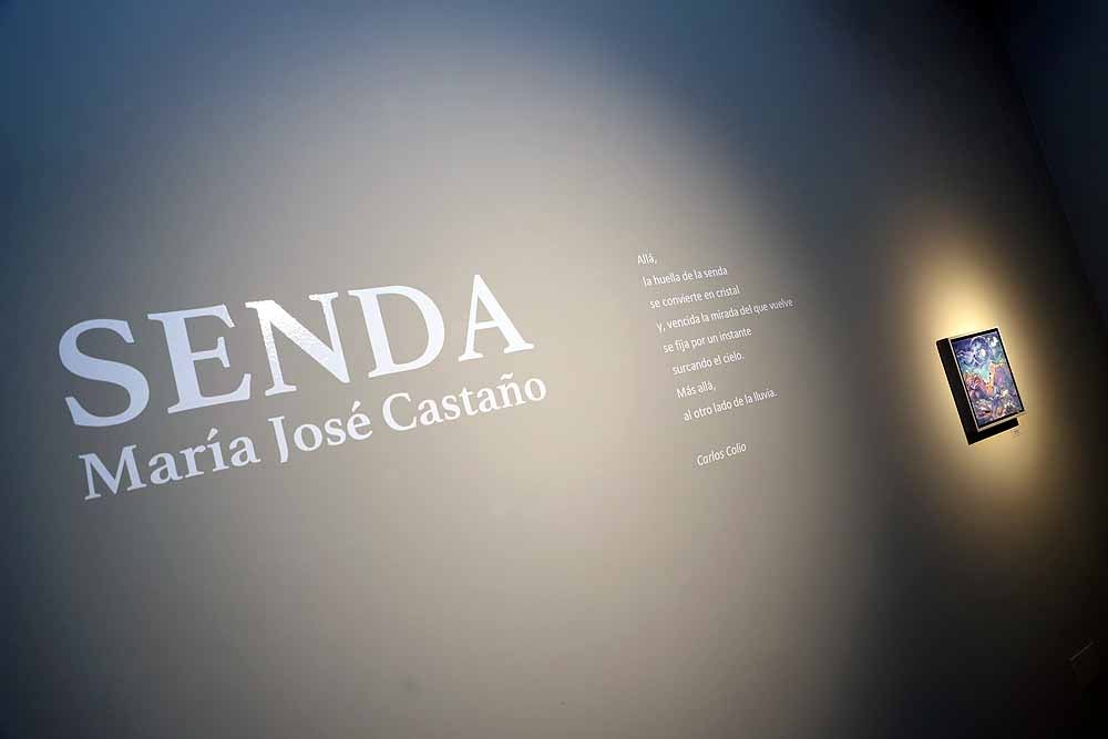 La muestra se puede visitar hasta el 13 de noviiembre en la Sala de exposiciones Pedro Torrecilla