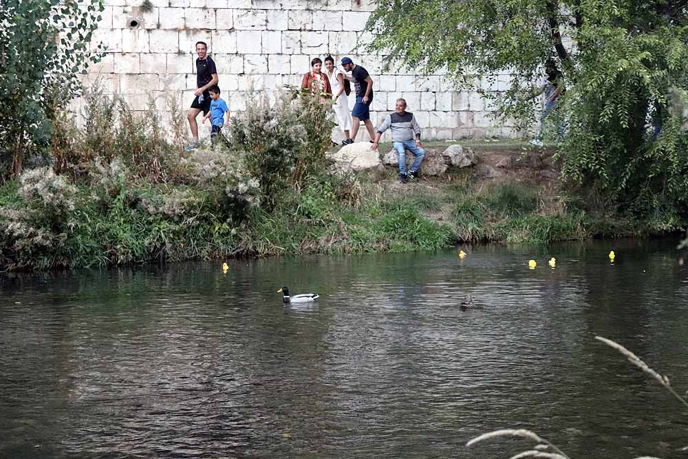 5.000 patos se han lanzado al río por dos buenas causas: colaborar con los proyectos de acceso al agua potable que lleva a cabo Amycos en Bolivia y el mantenimiento del comedor y la casa de acogida de las Hijas de la Caridad de Burgos.