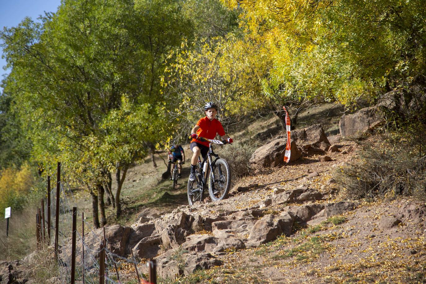 Más de 1.200 deportistas han participado hoy en la sexta edición de la Demandasaurus de Salas de los Infantes, que ha constado de tres carreras de ciclismo de montaña (BTT) de 48, 34 y 17 kilómetros, dos pruebas a pie de 22 y 10 kilómetros y una marcha a pie de 10 kilómetros. Entre los participantes, los organizadores han destacado la presencia del triple campeón del mundo de Trail, el burgalés Luis Alberto Hernando.