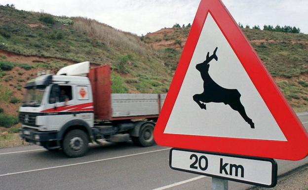 La fauna salvaje provoca 543 accidentes de tráfico en lo que va de año en la provincia