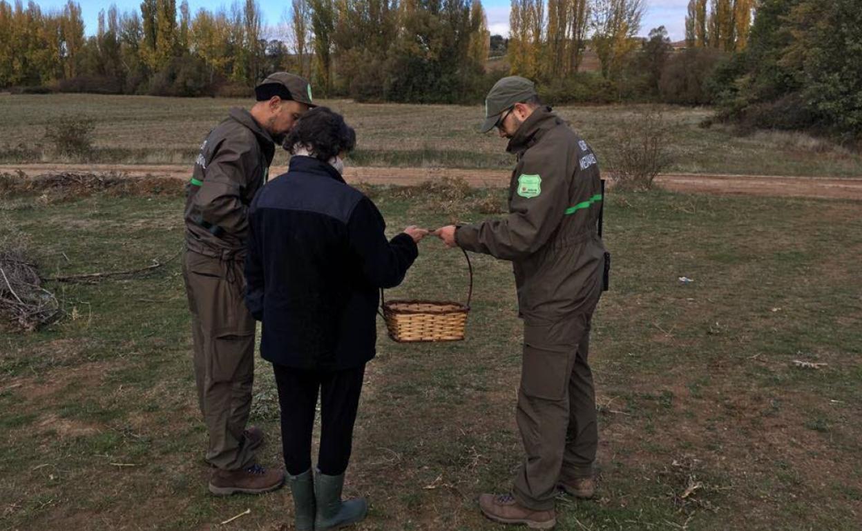 Agentes medioambientales de Castilla y León revisan una cesta de una recolectora de setas en una foto de archivo. 