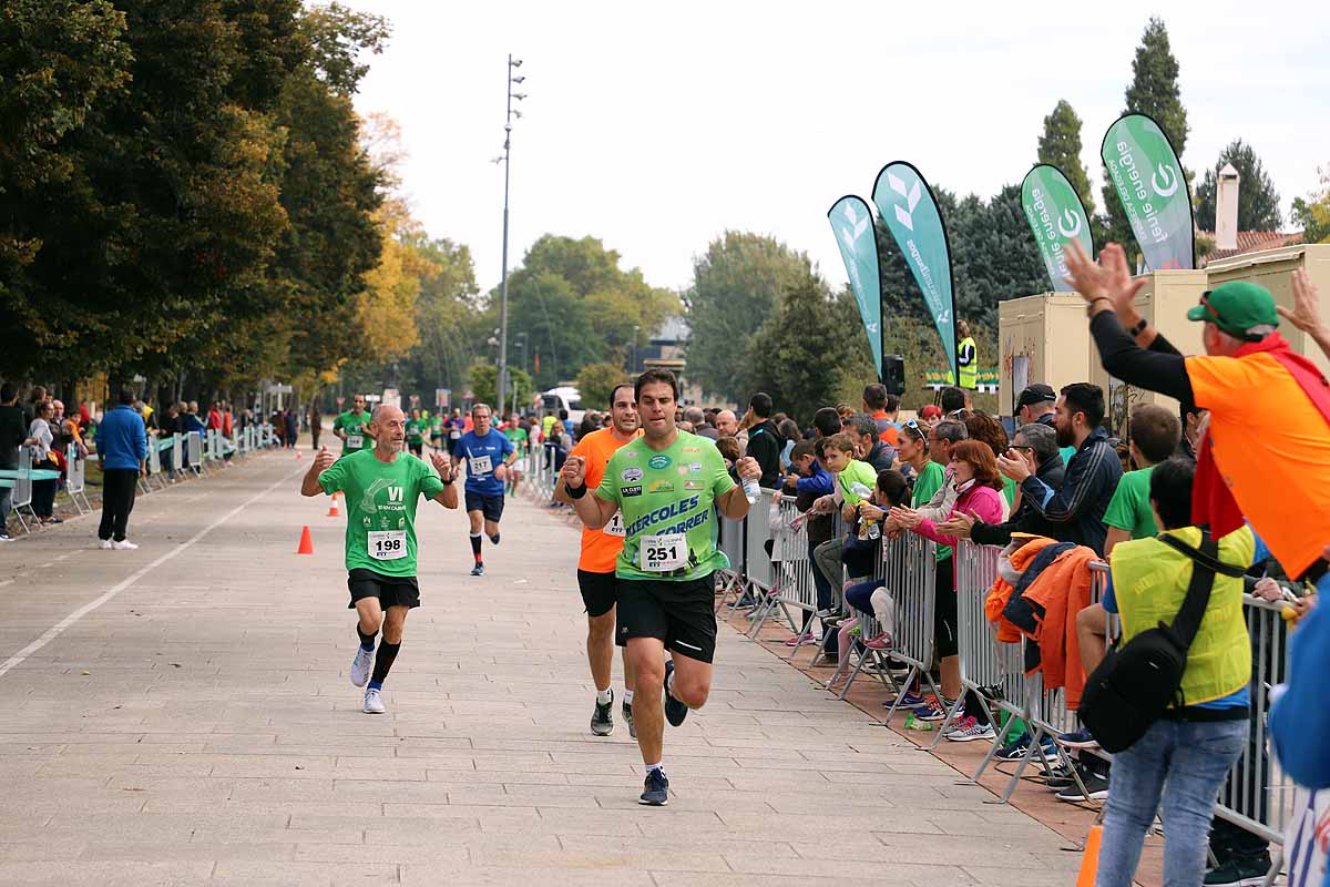 Dani Arce y Lidia Campo han sido los vencedores en la prueba de 10 kilómetros que ha recorridos las calles burgaleses. 