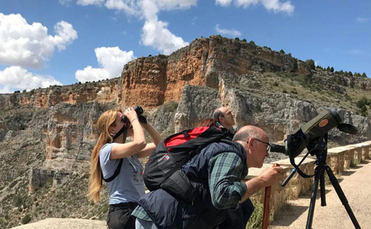 La Fundación Caja de Burgos organiza un taller de observación de aves de invierno