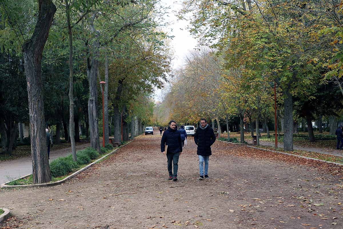 Ya se ha comenzado a actuar sobre el arbolado más envejecido y dañado y se quieren coordinar las actuaciones de los servicios de limpieza de viales y de mantenimiento de jardines. 