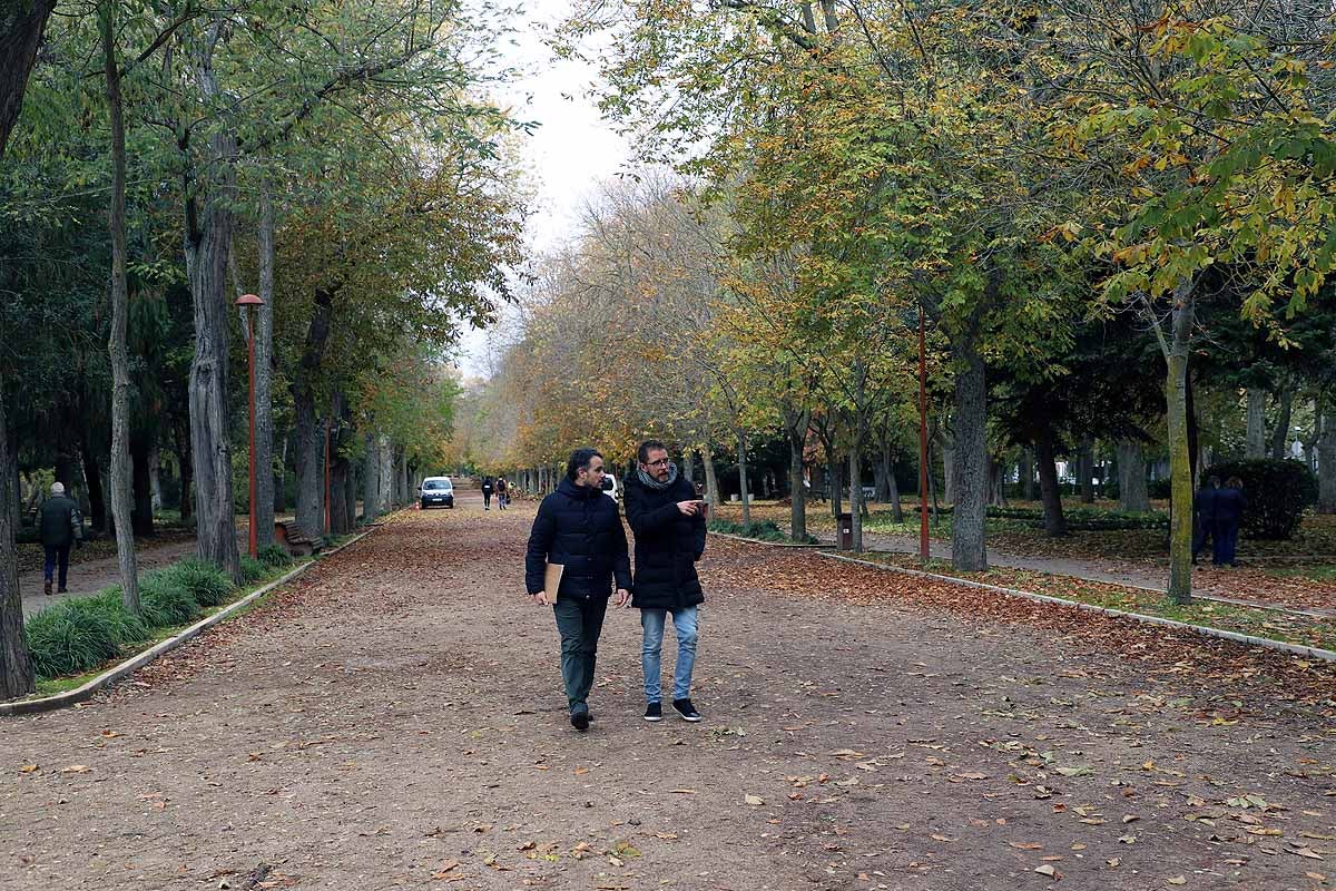 Ya se ha comenzado a actuar sobre el arbolado más envejecido y dañado y se quieren coordinar las actuaciones de los servicios de limpieza de viales y de mantenimiento de jardines. 