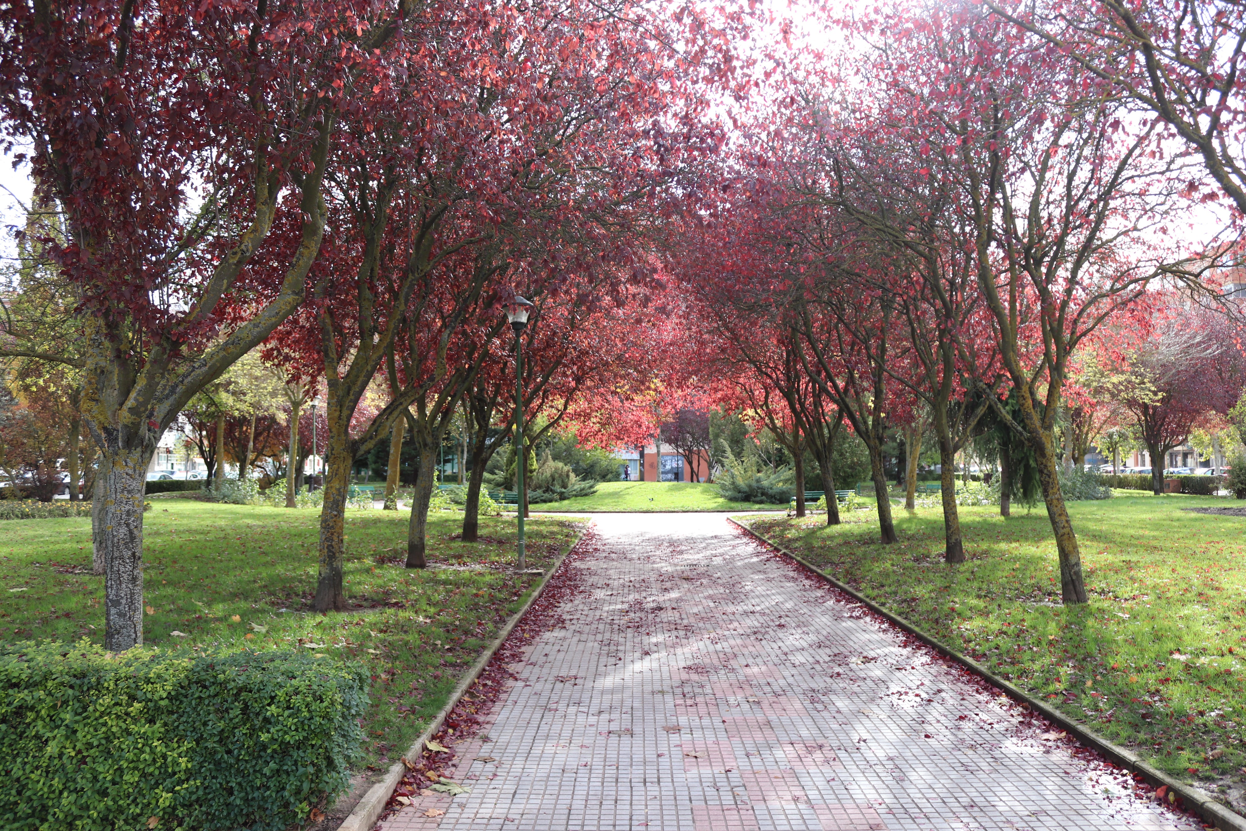 Así ha amanecido la calle Madre Isabel de Larrañaga tras conocer la noticia de la muerte de un menor después de recibir un disparo en la cabeza de manera accidental