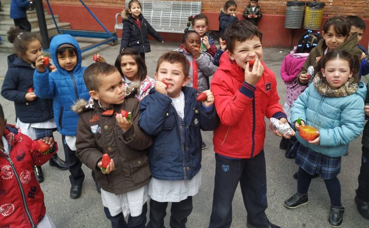 Los alumnos del colegio Apóstol San Pablo comen fresas en el recreo.