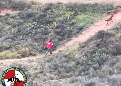 Imagen secundaria 1 - Imágenes de las labores del GREM. 