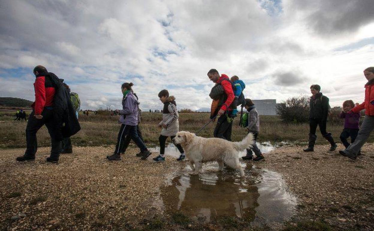 XVII Marcha a pie a los Yacimientos de Atapuerca. 